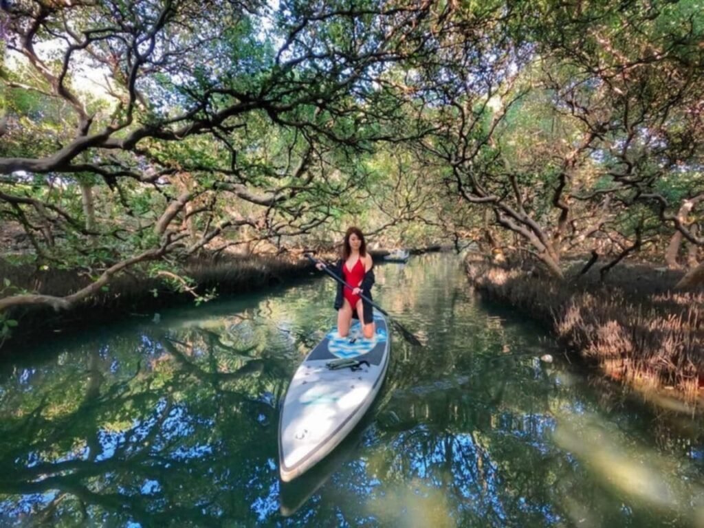 SUP 秘境探索