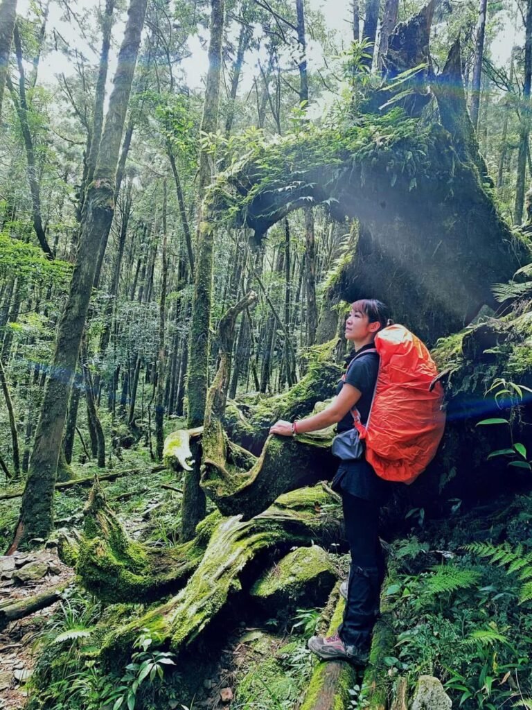背著紅色登山背包的人坐在綠色森林裡