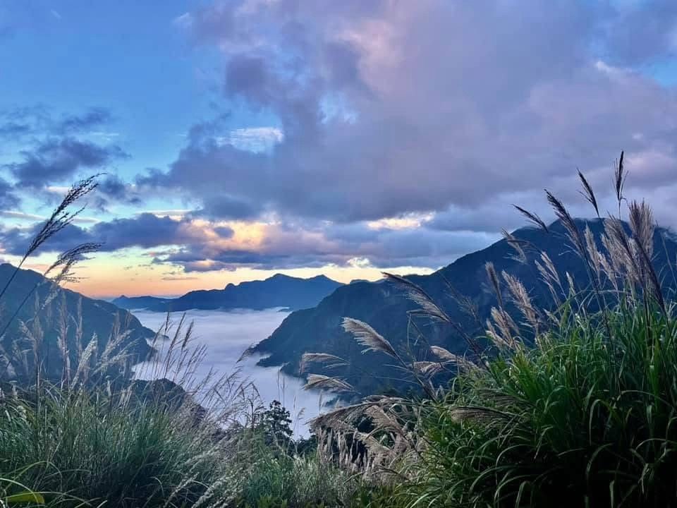 傍晚的天空與山谷，前景是隨風搖擺的芒草